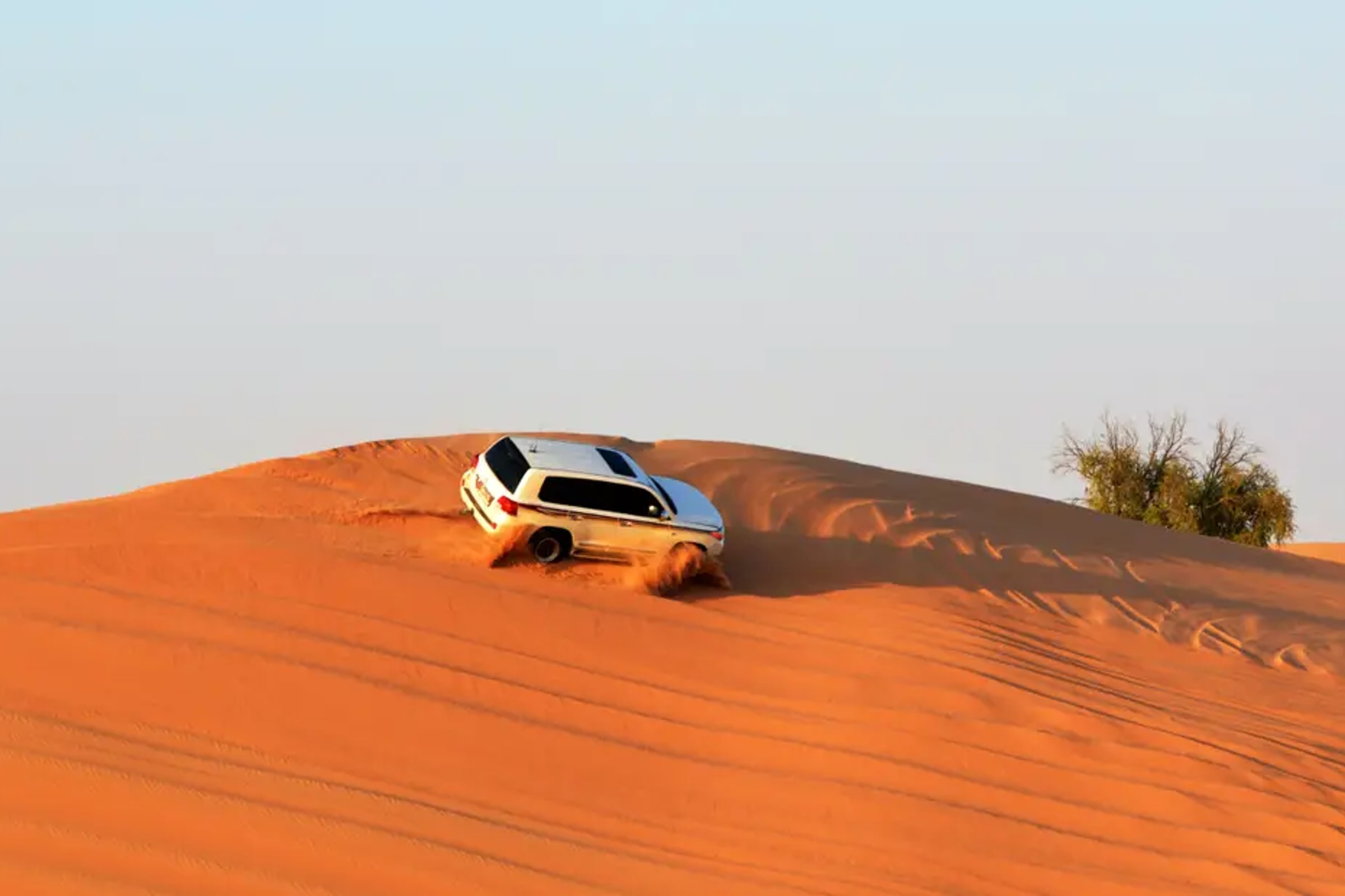 Abu Dhabi morning desert safari with camel ride